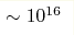 \sim 10^{16}