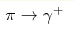 \pi \rightarrow \gamma^+