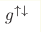 g^{\uparrow\downarrow}