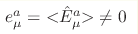 e_\mu^a={<} \hat 
E^a_\mu{>} \neq 0