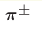 \boldsymbol{\pi^\pm}