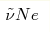 \tilde{\nu}Ne