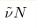 \tilde{\nu}N