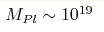 M_{Pl} \sim 10^{19}