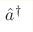 {\hat a}^{\dagger}