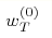 w_{T}^{\left(0\right) }