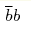 \overline{b}b