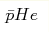 \bar{p}He